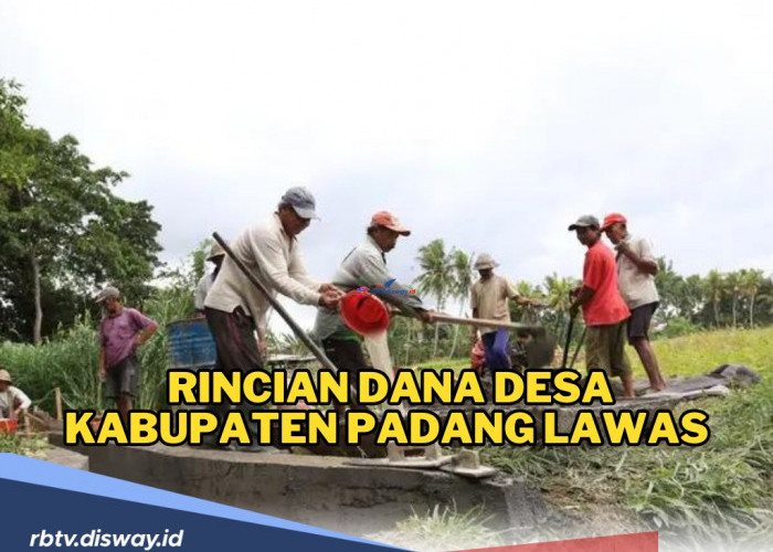 Rincian Dana Desa Kabupaten Padang Lawas 2024 Terbaru, Ini Desa Terima Jumlah Dana Terbesar