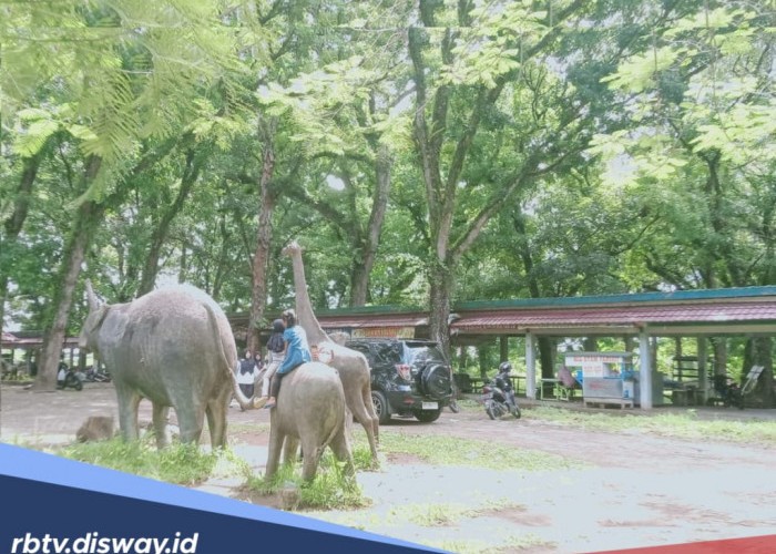 Bukan Sekadar Taman, Lokasi Ini akan Jadi Tempat Penangkaran Hewan, Butuh Dana hingga Rp 25 Miliar
