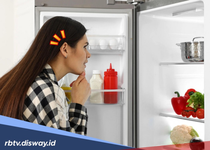 Ternyata Ini 10 Penyebab dan Cara Mengatasi Suara Kulkas Berisik