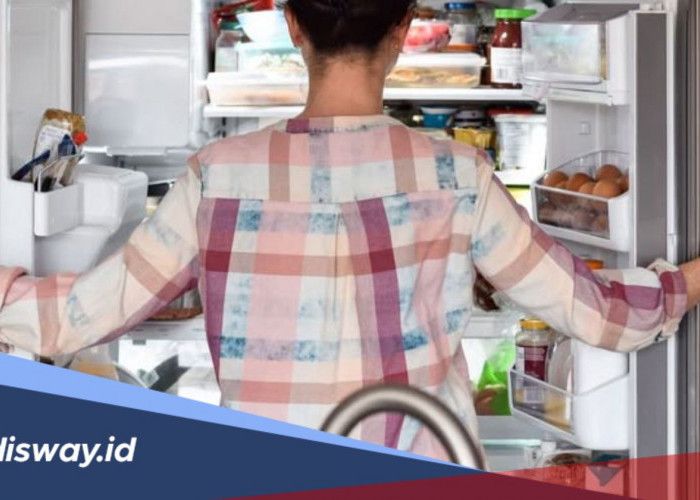 Cara Menghilangkan Bau Tak Sedap pada Kulkas dengan Mudah Menggunakan Kopi Bubuk