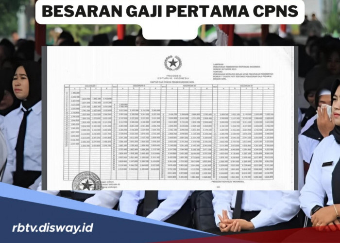 Namamu Lolos Seleksi CPNS 2024? Selamat, Segini Besaran Gaji Pertama yang Diterima