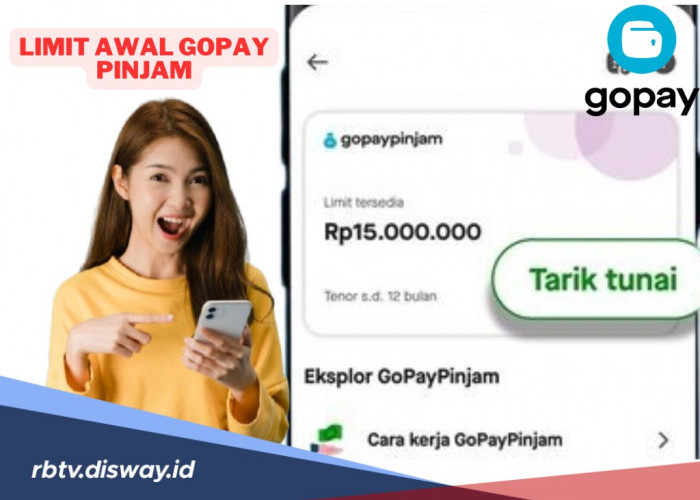 Segini Limit Awal GoPay Pinjam, Perhatikan Ternyata Ini Penyebab Pinjaman Ditolak