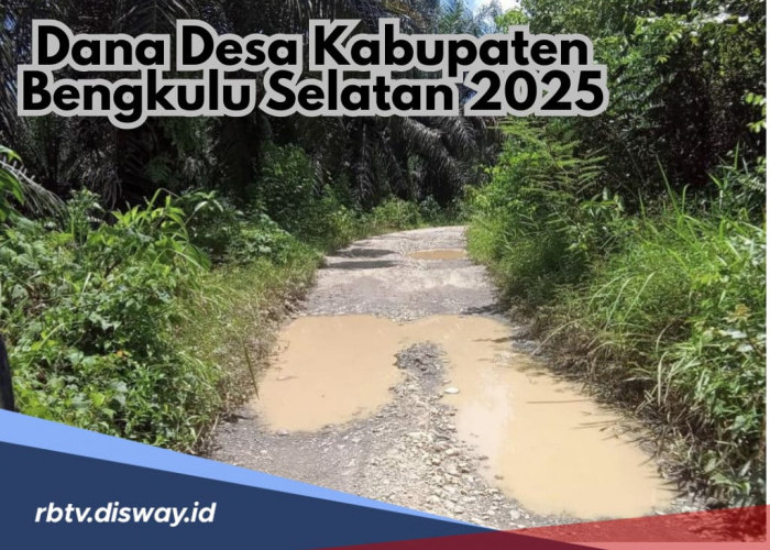 Dana Desa Kabupaten Bengkulu Selatan Tahun 2025, Desa Mana yang Dapat Alokasi Terbesar?