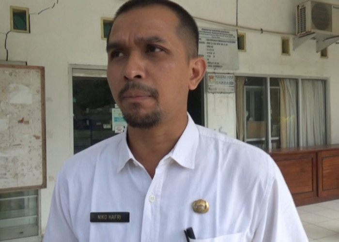 Usulan Penerbitan NIP PPPK Tahap II Pemkab Mukomuko Dimulai Awal Agustus 