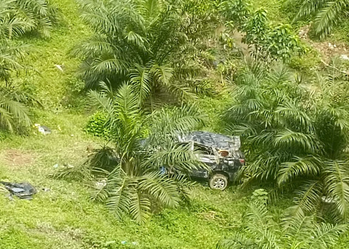 Travel Lampung-Bengkulu Masuk Jurang 70 Meter di Kaur, Ini Daftar Sopir dan Penumpangnya