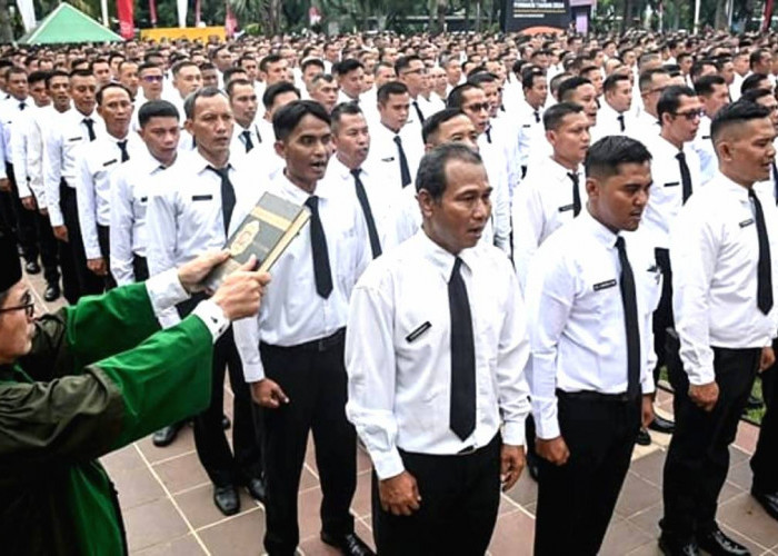 Segini Perkiraan Gaji dan Tunjangan PPPK Paruh Waktu Tahun 2026, Mulai dari Guru hingga Tenaga Teknis