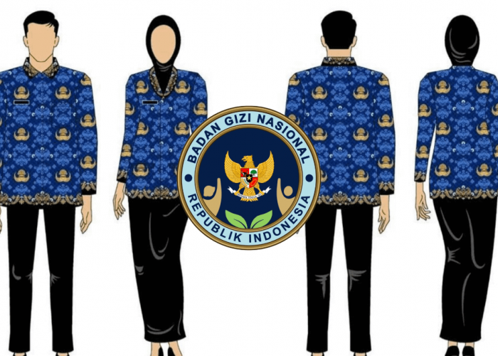 Pahami, Ini Tata Cara dan Dokumen Pendaftaran PPPK Badan Gizi Nasional