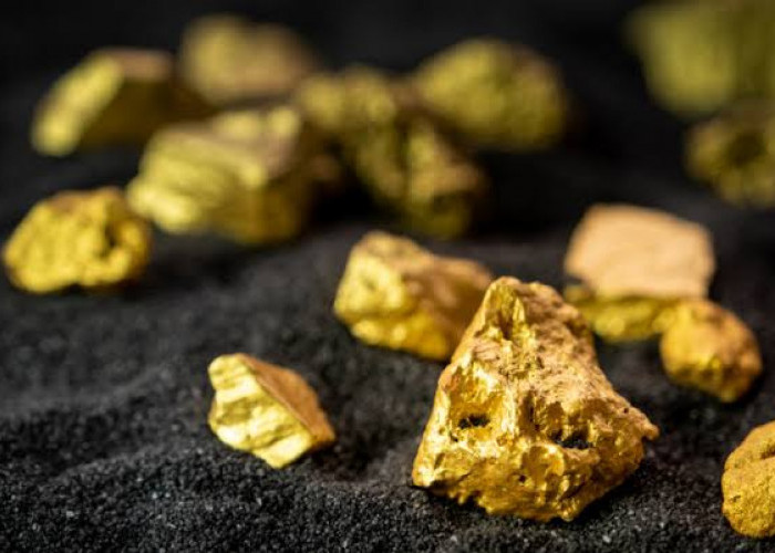 Harta Karun Emas di Sumatera Utara, Jadi Salah Satu yang Terbesar di Indonesia