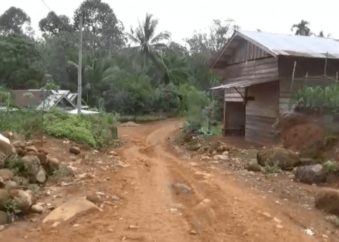 Soal Polemik Listrik Desa Tanjung Kemenyan, PLN ULP Arga Makmur Bilang Begini 