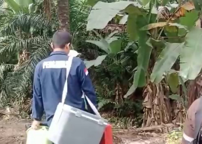 Diduga Tercemar Limbah PTPN VII, Tim Ahli Turun Ambil Sampel Air Sungai