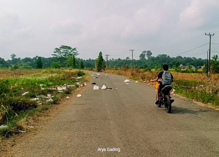Pemkab Seluma Anggarkan Rp200 Juta untuk Pasang 26 Lampu Jalan