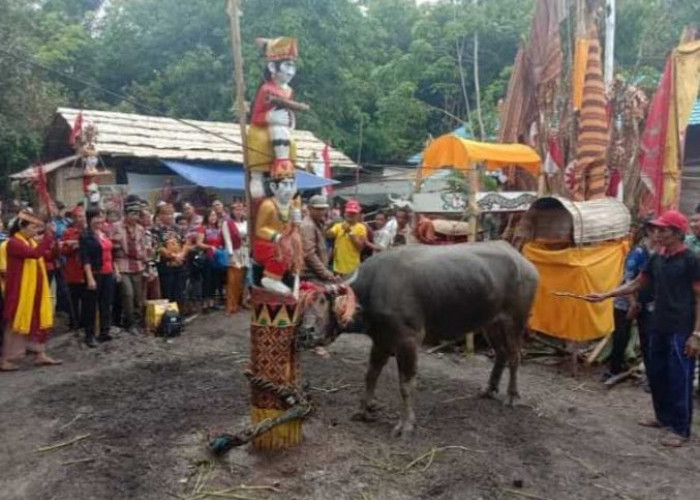 Tradisi Tiwah Masyarakat Dayak, Jenazah yang Sudah Dikubur akan Digali Kembali 