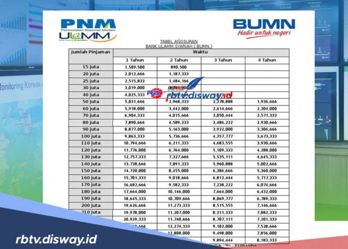 Tabel Pinjaman PNM ULaMM 2024 Rp 20-50 Juta, Tenor Panjang dan Cicilan Ringan