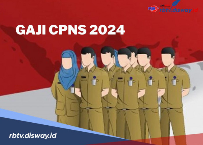 Daftar Gaji CPNS Lulusan Tahun 2024, Lengkap Semua Golongan 