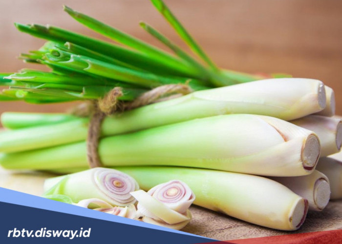 Sering Konsumsi Rebusan Batang Serai? Ini 9 Manfaatnya untuk Kesehatan