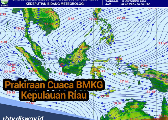 Peringatan Dini Cuaca Ekstrem, BMKG: 4 Wilayah Kepulauan Riau Waspada Hujan dan Petir