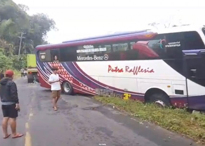 Hindari Adu Kambing dengan Avanza, Bus Putra Raflesia Terperosok di Kabupaten Seluma
