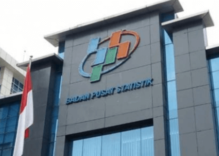 Supaya Tidak Bingung Lagi, Simak Sistem Kerja Mitra Statistik BPS 2026