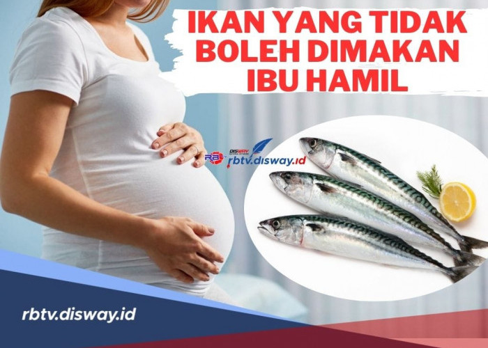10 Jenis Ikan Ini Tidak Boleh Dimakan Ibu Hamil, Bisa Membahayakan Kesehatan Janin!