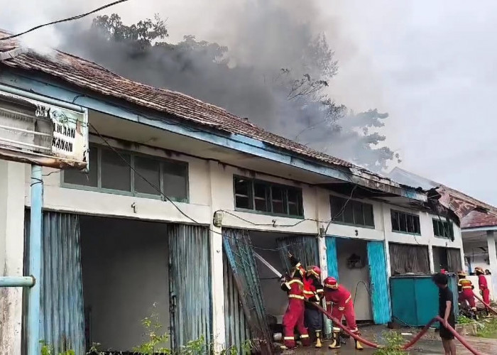 Gudang TPI Pondok Besi Bengkulu Terbakar, Satu Keluarga Alami Luka Bakar, Balita 4 Tahun Meninggal Dunia