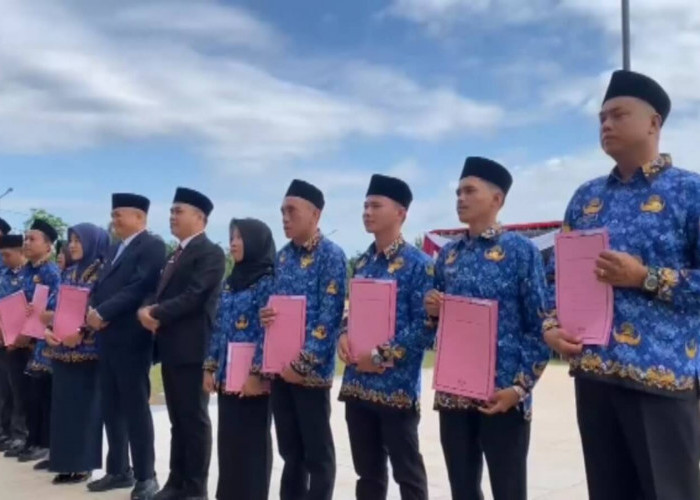 Hasil Kelulusan PPPK 2024 Pemkab  Rejang Lebong Banjir Laporan, Tercatat Ada 52 Laporan Masuk ke BKPSDM