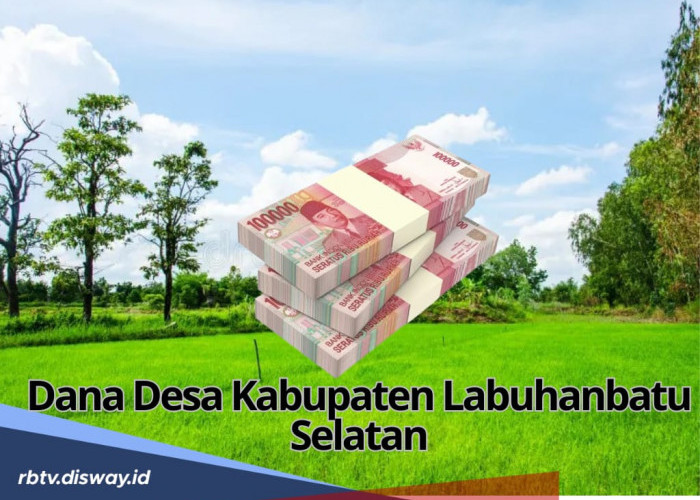 Kucuran Dana Desa Kabupaten Labuhanbatu Selatan Tahun 2025, Ini Rincian yang Diterima Tiap Desa