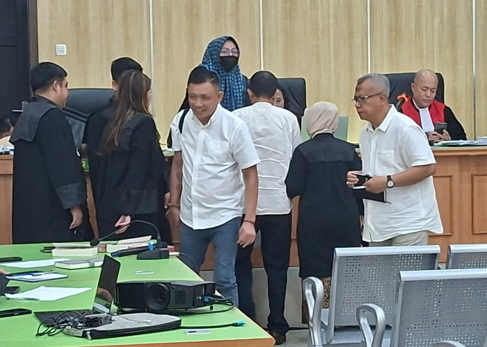 Rangkuman Vonis Bos Tambang Bengkulu Bebby Hussy, 3 Perkara Divonis 4 Tahun 7 Bulan Penjara