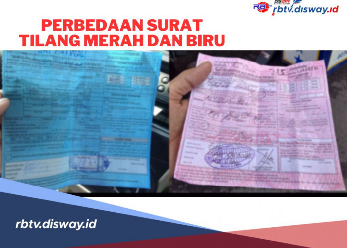 Serupa Tapi Tak Sama, Ini Perbedaan Surat Tilang Merah dan Surat Tilang Biru