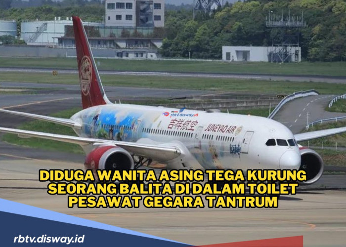 Viral, Diduga Wanita Asing Tega Kurung Balita di Toilet Pesawat Gegara Tantrum, Banjir Kecaman Netizen!