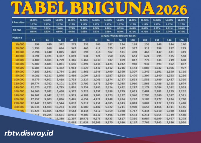 ASN Pinjaman BRIguna Rp 20 Juta Bisa Cair dalam 15 Menit Lewat BRImo, Begini Caranya