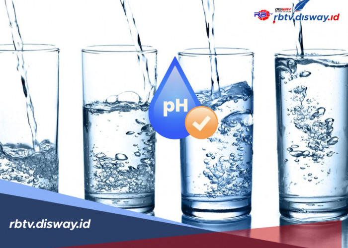 Manfaat Air Mineral pH Tinggi untuk Penderita Ginjal, Ini Rekomendasinya, Bisa Dicoba