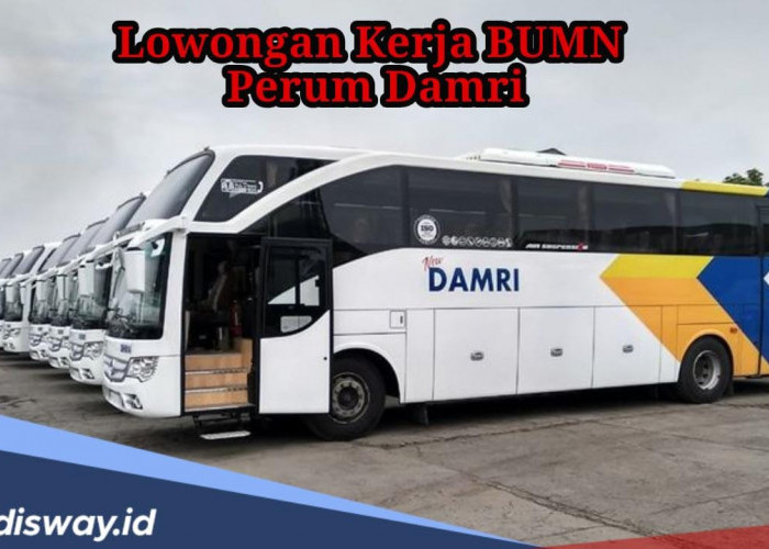 Lulusan SMA/SMK Merapat, BUMN Damri Buka Lowongan Kerja Terbaru Agustus 2024, Ini Syaratnya!