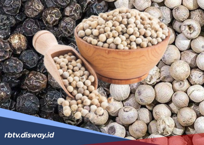 Begini Cara Mengolah Merica Supaya Bisa Mendapatkan 6 Manfaat Kesehatannya 