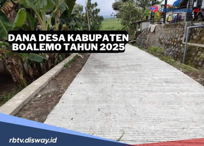 Rincian Dana Desa Kabupaten Boalemo Tahun 2025, Cek Pembagian Desamu di Sini