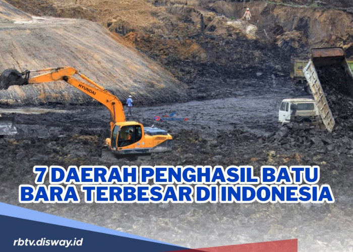 Daftar 7 Daerah Penghasil Harta Karun Emas Hitam Terbesar di Indonesia, Daerah Mana saja?