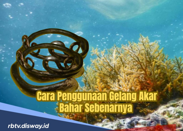 Jangan Asal Pakai, Begini Cara Penggunaan Gelang Akar Bahar yang Sebenarnya 