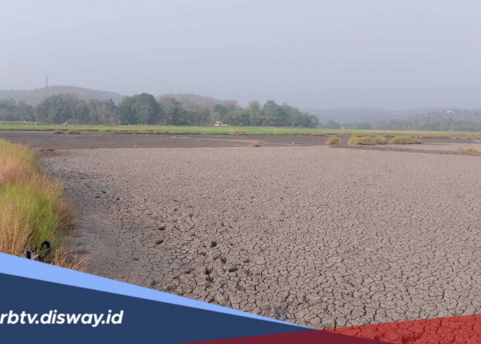 BMKG Tetapkan Status Awas Kekeringan Meteorologis di 18 Wilayah, Daerahmu Termasuk?
