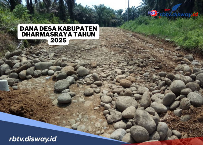 Rincian Dana Desa di Kabupaten Dharmasraya Tahun 2025 untuk 52 Desa