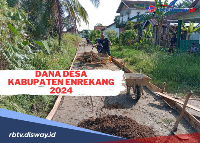 Rincian Dana Desa Kabupaten Enrekang 2024, Cek Alokasi Pembagian Desamu