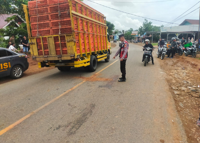 Info Terbaru Kasus Kecelakaan Maut di Kabupaten Seluma