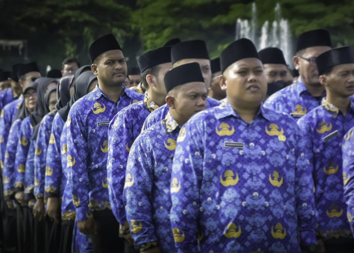 Pendaftaran PPPK Periode II, KemenPANRB Jawab Peluang Pengangkatan Otomatis