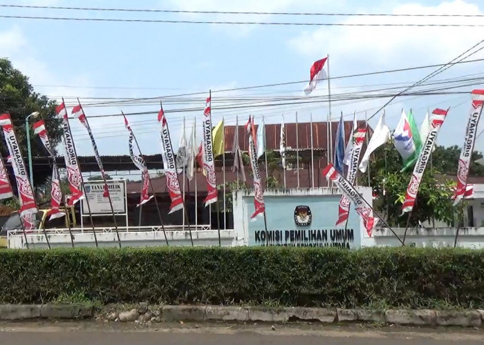 Bakal Dua kali Pilkada Kotak Kosong di Bengkulu Utara, Begini Komentar Masyarakat