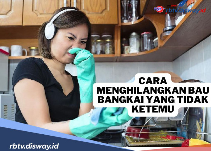 8 Cara Menghilangkan Bau Bangkai yang Tercium di Rumah dan di Kantor, Tapi Tidak Diketahui Lokasinya