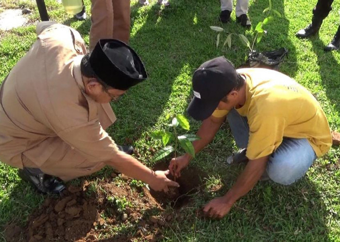 Desa Ini Siapkan Ratusan Bibit Durian Super Aksi Tanam Serentak