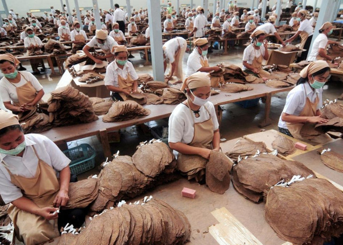 Paling Ditunggu Pekerja, Seperti Ini Gambaran UMK Kota Bengkulu 2026