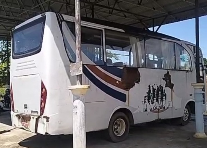 Sempat Mati Suri, 15 Unit Bus Sekolah di Kaur Siap Beroperasi, Kapan Launching?