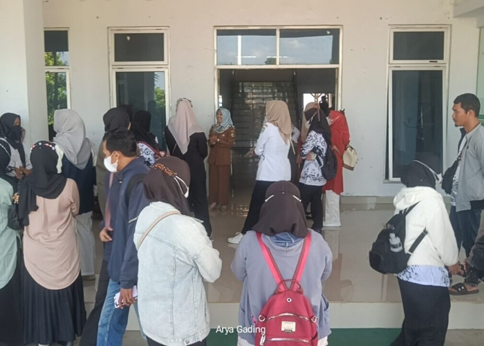 Ratusan Honorer Geruduk Kantor Bupati Seluma Menuntut Kejelasan Status PPPK