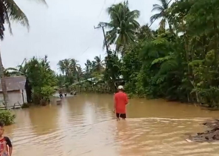 Banjir Terjang 14 Desa di Seluma, Akses Jembatan Putus hingga Ratusan Rumah Terendam