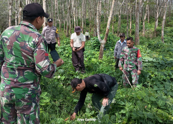 Ditemukan Jejak Diduga Harimau, BKSDA Pasang Perangkap Umpan Kambing