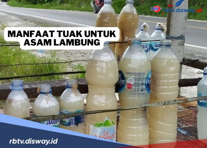 Manfaat Tak Terduga Tuak untuk Meredakan Asam Lambung, Mitos atau Fakta?